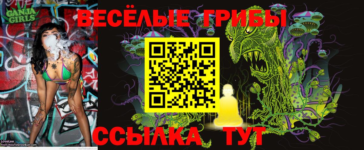 Галлюциногенные грибы MAGIC MUSHROOMS Холмск