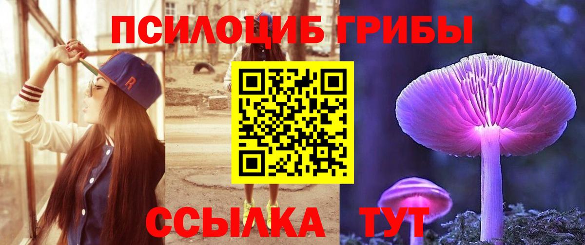 Холмск  Псилоцибиновые грибы Psilocybe  Вход с VPN  Галлюциногенные грибы Cubensis 